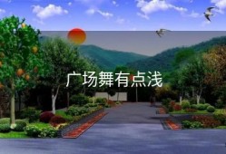 广场舞有点浅
