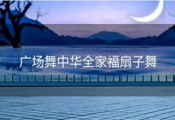 广场舞中华全家福扇子舞