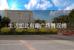 生活如此有趣广场舞视频