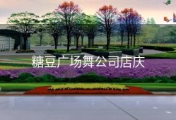 糖豆广场舞公司店庆