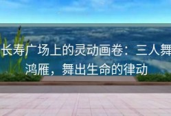 长寿广场上的灵动画卷：三人舞鸿雁，舞出生命的律动