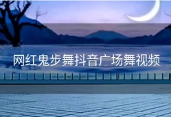 网红鬼步舞抖音广场舞视频