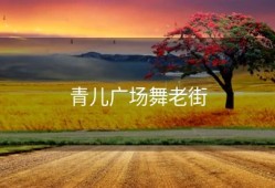 青儿广场舞老街