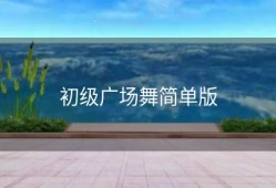 初级广场舞简单版
