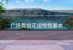 广场舞桃花运恰恰基本