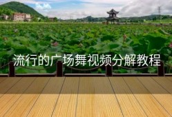 流行的广场舞视频分解教程