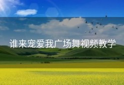 谁来宠爱我广场舞视频教学