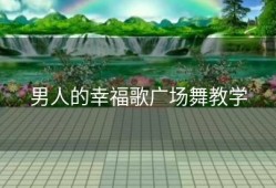 男人的幸福歌广场舞教学