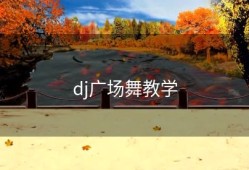 dj广场舞教学