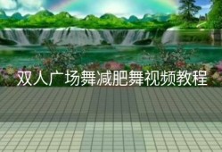 双人广场舞减肥舞视频教程