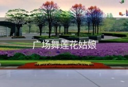 广场舞莲花姑娘