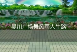 吴川广场舞风雨人生路