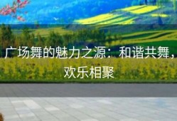 广场舞的魅力之源：和谐共舞，欢乐相聚