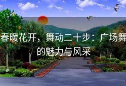 春暖花开，舞动二十步：广场舞的魅力与风采