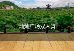 灿灿广场双人舞