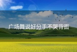 广场舞说好分手不哭背面