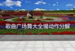 歌曲广场舞大全慢动作分解