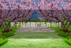 男子组合跳广场舞视频