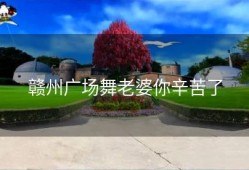 赣州广场舞老婆你辛苦了