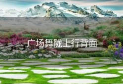 广场舞陇上行背面