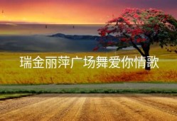 瑞金丽萍广场舞爱你情歌