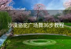 沙漠骆驼广场舞36步教程