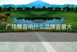 广场舞音响什么品牌音量大