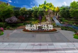 硼极广场舞