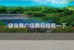 健身舞广场舞视频看一下