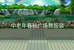中老年春秋广场舞服装