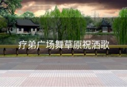疗弟广场舞草原祝洒歌