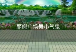 丽娜广场舞小气鬼