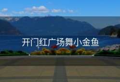 开门红广场舞小金鱼