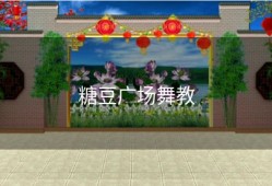 糖豆广场舞教