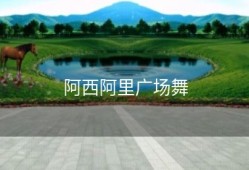 阿西阿里广场舞