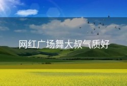 网红广场舞大叔气质好