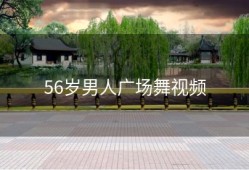 56岁男人广场舞视频