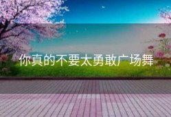 你真的不要太勇敢广场舞