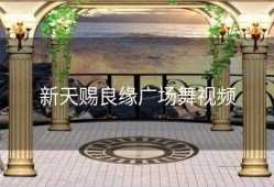 新天赐良缘广场舞视频