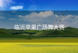 临沂苹果广场舞大赛