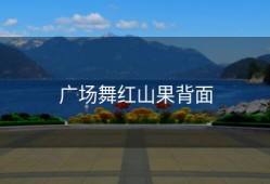广场舞红山果背面