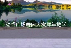 动感广场舞向大家拜年教学