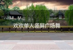 欢欢单人竖屏广场舞