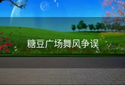 糖豆广场舞风争误