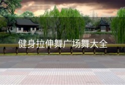 健身拉伸舞广场舞大全