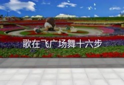 歌在飞广场舞十六步