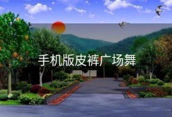 手机版皮裤广场舞