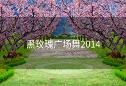 黑玫瑰广场舞2014