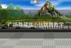 广场舞藏族小伙跳舞教学