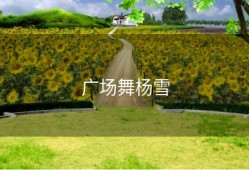 广场舞杨雪